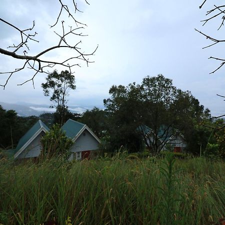Hotel Ambady Estate Munnar Esterno foto