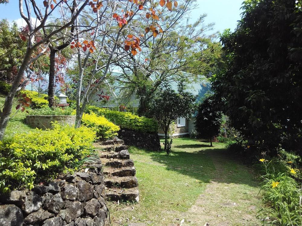 Hotel Ambady Estate Munnar Esterno foto